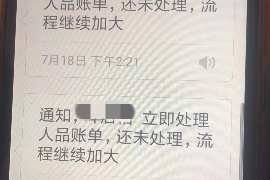 遂川为什么选择专业追讨公司来处理您的债务纠纷？